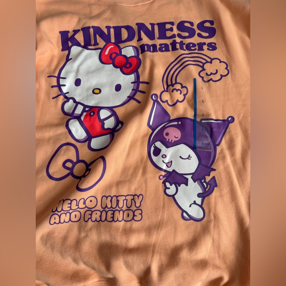 NWT Hello Kitty by Sanrio Graphic Sweatshirt in Peach - Picture 8 of 9